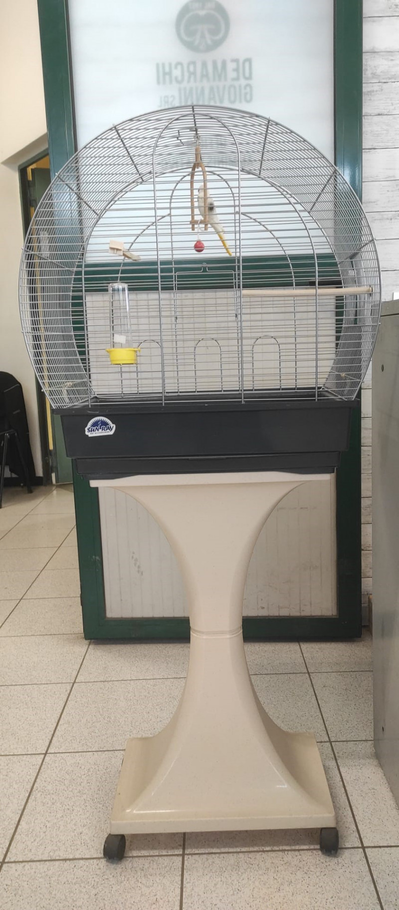 YANGUN Cinguettio Uccelli Con Sensore - Scatola Canto Per Relax